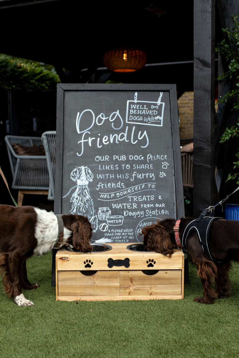 doggy friendly pub london, west london, dogs welcomed
